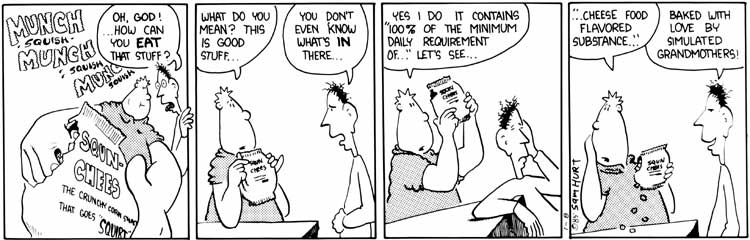 Eyebeam 1985: January 8, 1985, comic 7 of 293